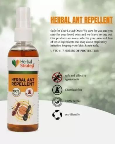 HERBAL STRATEGI Ant Repellent Spray Non-Toxic 100% Herbal Stain Free  (100 ml)