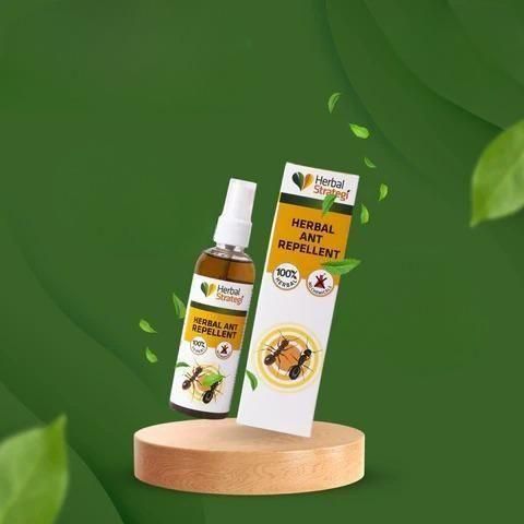 HERBAL STRATEGI Ant Repellent Spray Non-Toxic 100% Herbal Stain Free  (100 ml)