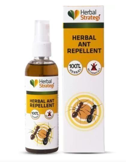 HERBAL STRATEGI Ant Repellent Spray Non-Toxic 100% Herbal Stain Free  (100 ml)